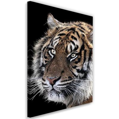 Obraz na plátne Tiger Wildlife