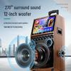 Soaiy SA-K10S Portable Outdoor KTV & Instrument Speaker