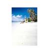 Sommer Meeresstrand Fotografie Hintergrund Tropischer Ozean Palme Sand Malerischer Hintergrund für Fotostudio Porträt Videoaufnahme Party Dekoration Requisiten