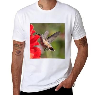 Humming Bird T-Shirt Cotton T Shirt Pack Man T Shirt Graphic Man T Shirts for Men T-Shirt