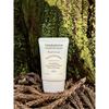 Therapism Hand Cream Rainy Saryeoni Forest Trail 30ml