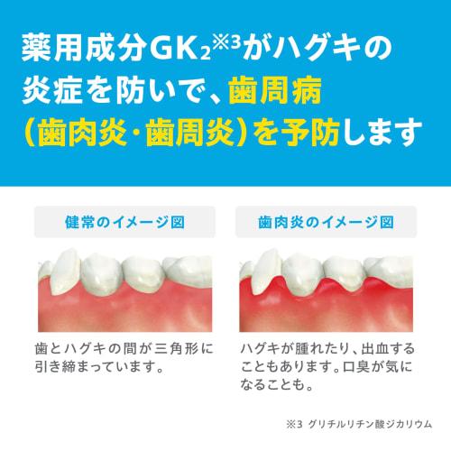 GUM (Gum) Periodontal Disease Prevention Medicated Toothpaste, Refreshing Cool Mint Type, 120g X 3 Packs + Bonus Included