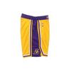 Nike NBA Icon Edition Team Limited Summer Breathable Mid-Rise Basketball Shorts SW Fan Version Men Bottoms Yellow AJ5617-728