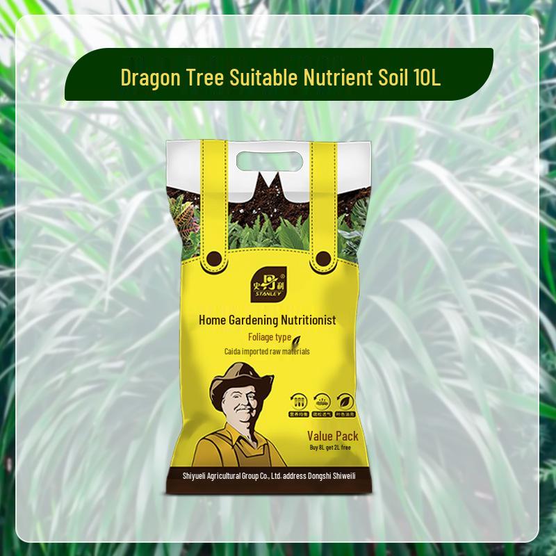 Stanley Dragon Tree Care: Nutrient Solution & General-Purpose Fertilizer for Healthy Green Plants