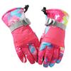 Waterproof Polyester Ski/Snowboard Gloves with Touchscreen Function Winter Thermal  Warm for Men & Women