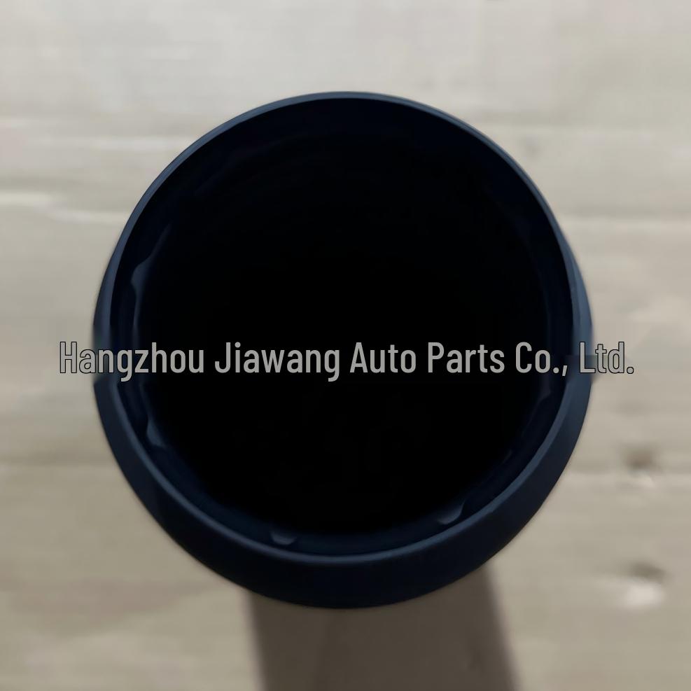 2023 Toyota BZ3 Shock Absorber Dust Boot 48559-03010