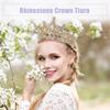 VOCOSTE Crown Tiara for Hair Gold and White Women, Princess, Bride, Wedding, Party, Cosplay, Accessory,