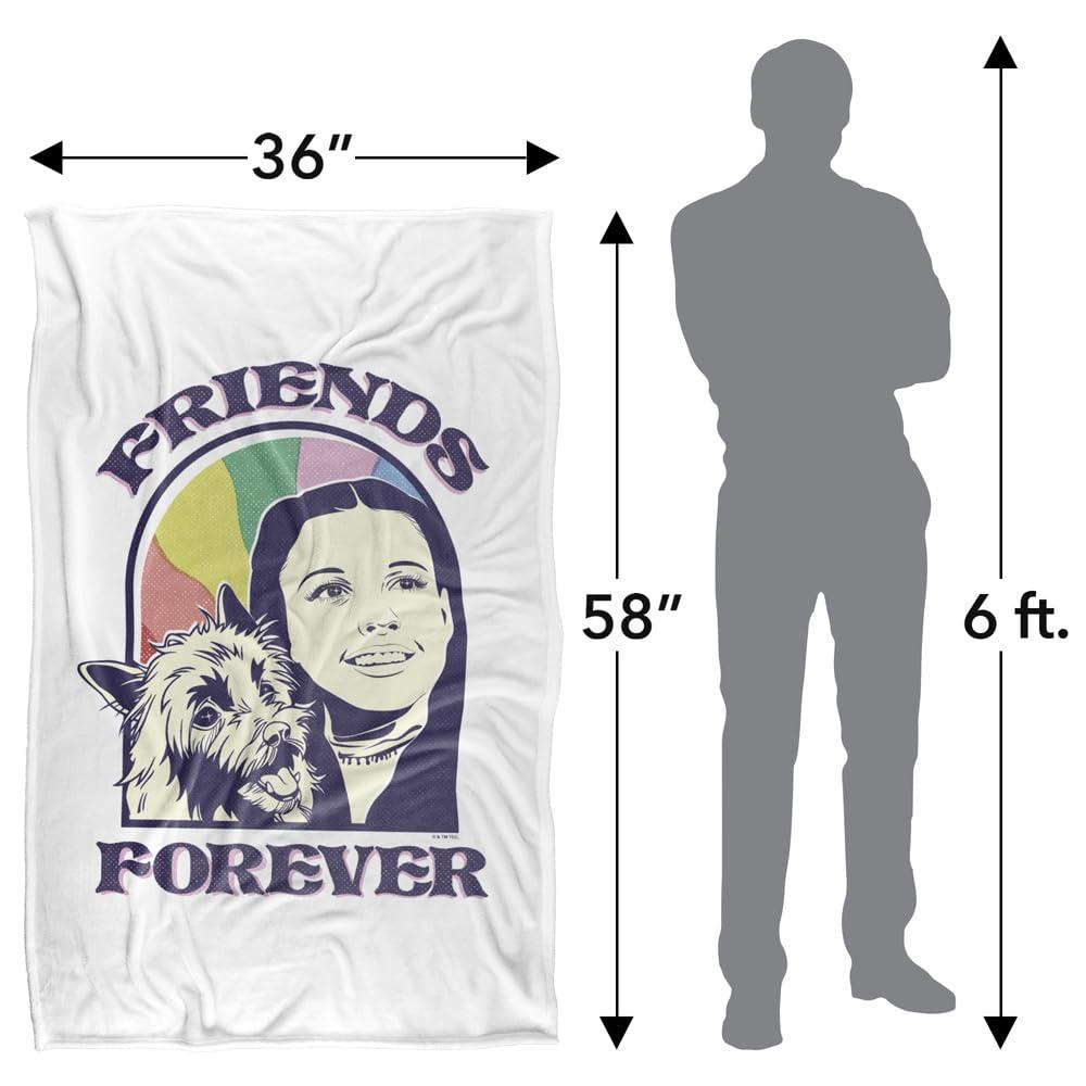 Wizard Of Oz Friends Forever Soft Touch Blanket