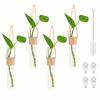 9pcs Wall Hanging Glass Planter Wall Mounted Decorative Flower Vase Set Small Wall Vase Window Decoration