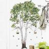 Removable Birch Tree Fresh Plant Wall Sticker PVC Background Plants Playroom Decals Decor  Bedroom