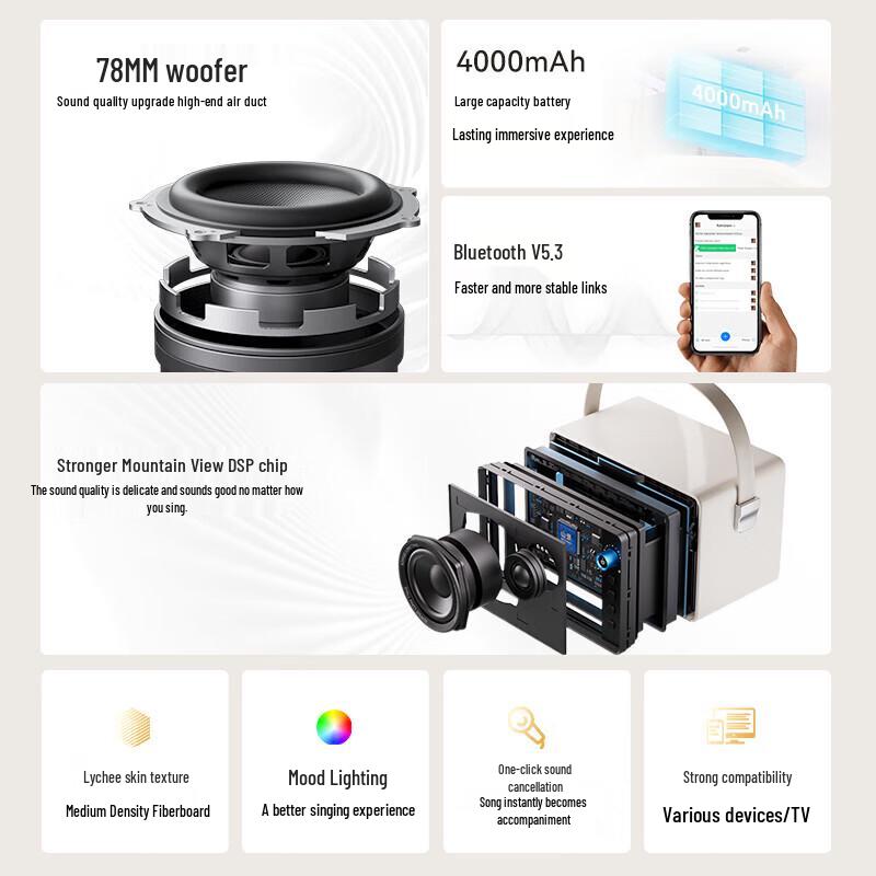 Philips K-Song Bluetooth Speaker with Dual Microphones