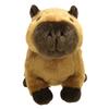 SunLemon Fluffies Medium Capybara Plush Toy, 19 x 26 x 16 cm, Cute Animal, P-1533