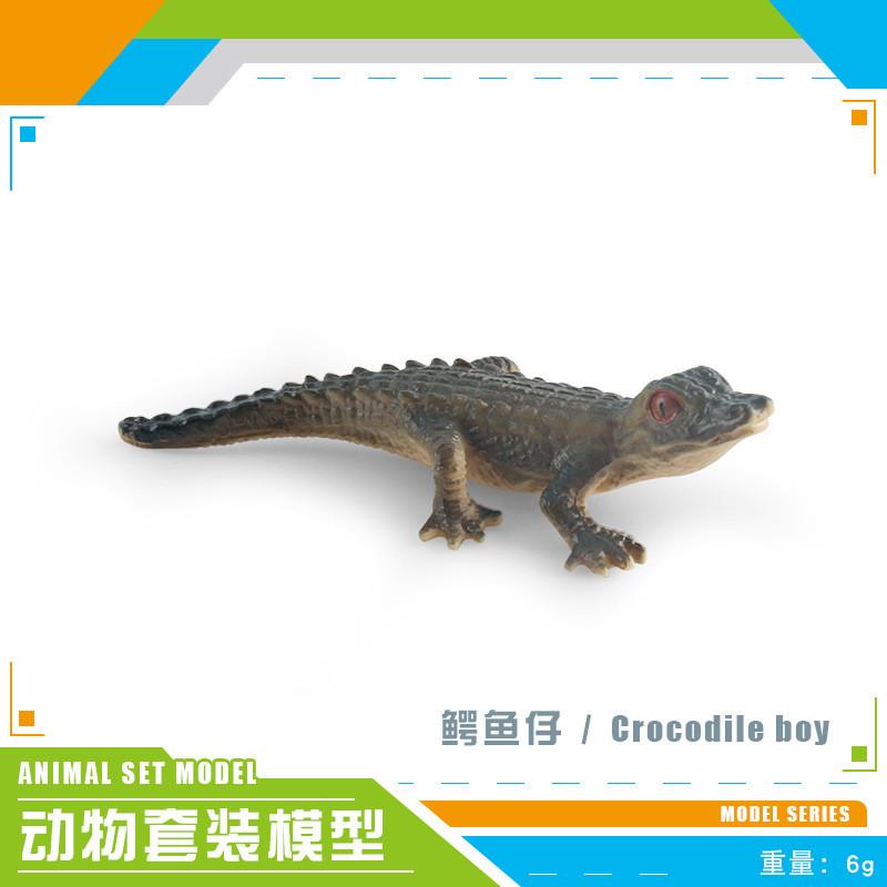 Realistic Plastic Forest Animal Model Collection Featuring Cute Static Mice Frogs Crocodiles Koalas And Skunks