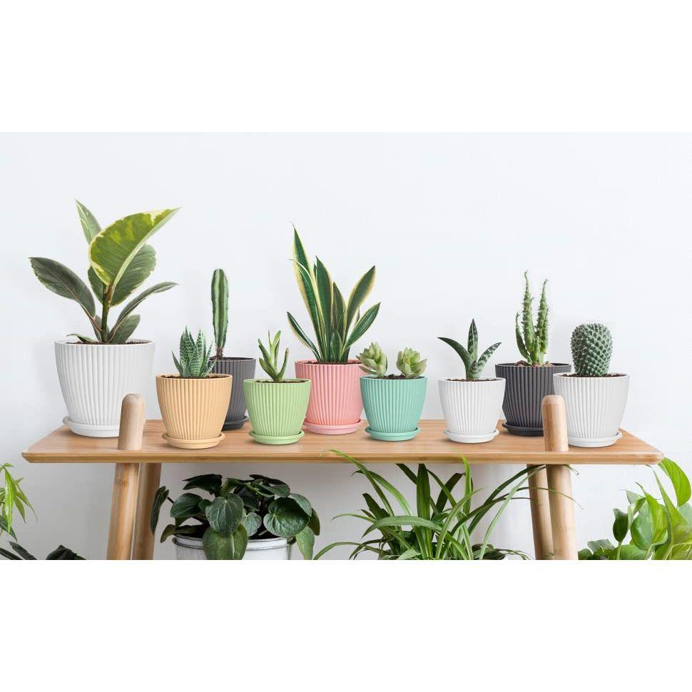 Plastic Round Flower Pot with Tray | Plant Pot for Home, Terrace, Garden Etc | Planter | Pack of 05 | Multicolor | Size 6.5 Inch