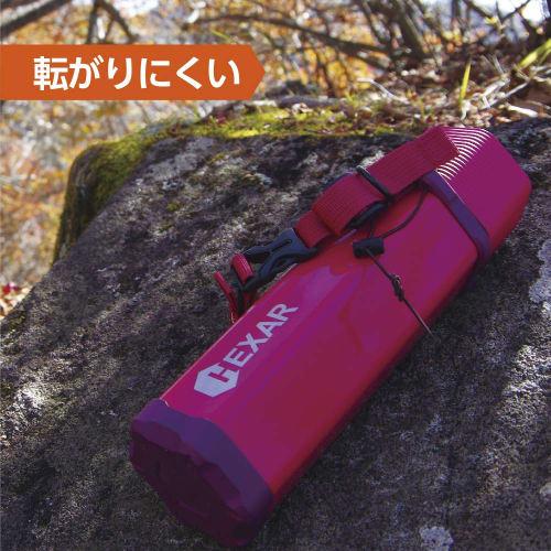 HEXAR Stainless Steel Bottle, 600ml, Rose Red, Doshisha