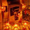 Traditional Chinese New Year Lantern LED Fairy Lights Chinese Knot String Lights  Spring Festival