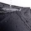 Automatic Umbrella with Print, NEED4YOU