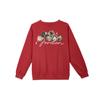 Jordan Comfortable Crew Neck Pullover Sweatshirt Women Sweatshirt Red HJ0206-687