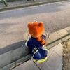 Little raccoon ear protectors pinch ears move cute little panda plush hat female winter thermal pullover hat