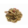 The Spiritual Living Feng Shui Lucky Three Legged Money Frog with Coin In Mouth
