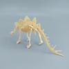 1 Set Kid Toy Diy Assembly Jurassic Dinosaur Fossil Skeleton Mosasaurus Tyrannosaurus Action Figure Collection Creative Model