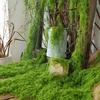 Biomimetic Artificial Moss Mats Indoor Outdoor Decor Realistic Fake Grass Turf Micro Landscape Bonsai Office Natural Aesthetic