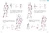 Master Guide to Drawing From Body Drawing to Character Design Characters