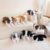40/50CM Four Colours Border Collie Collar Style Plush Toys Soft Stuffed Puppy Doll Funny Accompany Toys for Kids Gifts