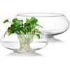 2 Pack Glass Vase Bowl, 6"/ 8" Wide Mouth Flower Vase Round Terrarium, Glass Hydroponic Planter Floral Container Clear Fish Bowl