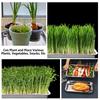5 Pcs Stainless Steel Seed Trays Reusable Seedling Starter Growing Trays Rectangular Plant Sprouting Trays Propagator For Seed S