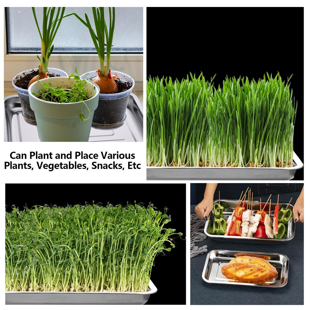 5 Pcs Stainless Steel Seed Trays Reusable Seedling Starter Growing Trays Rectangular Plant Sprouting Trays Propagator For Seed S