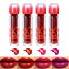 4-Color Moisturizing Natural Lipstick Water Durable Waterproof Women's Lipstick Cosmetics Valentine's Day Gift