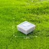 DIY miniaturní figurky Pryskyřice Miniaturní figurka zvířat Socha nových zvířat