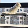 Window Mounted Cat Perch Cute Soft Cat Bed Window Shelf Hammock Window