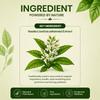Pure Nutrition Vasaka Tabletten | Vasaka Tabletten | Kräuterergänzungsmittel für die Atemwegsgesundheit, Lungenfunktion & tägliche Immununterstützung | Ayurvedisch Für