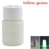 20g Fashion Bright DIY Craft Luminous Paint Acrylic Glow In The Dark Pigment