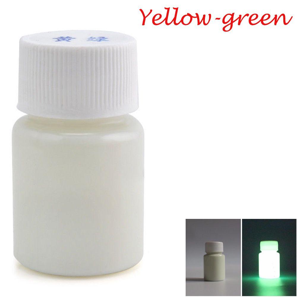 20g Fashion Bright DIY Craft Luminous Paint Acrylic Glow In The Dark Pigment