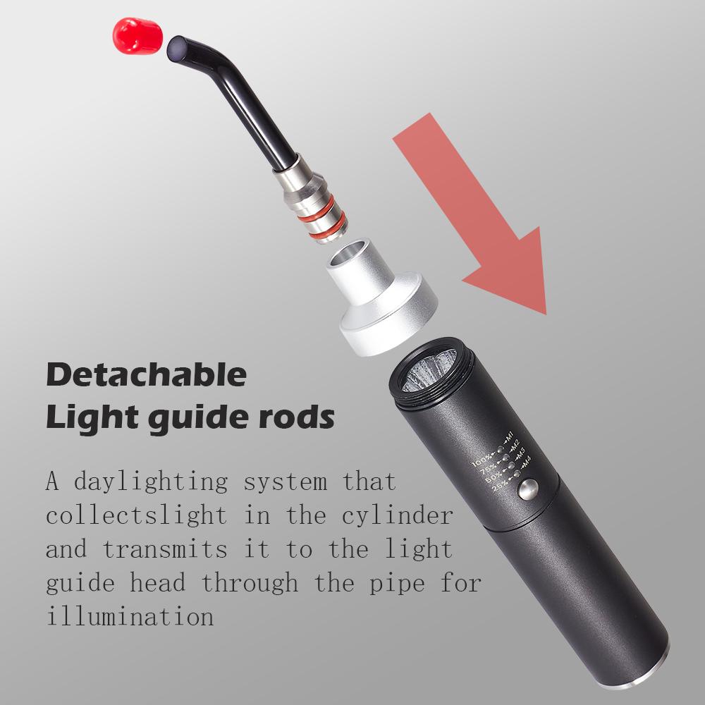 Red Light Therapy Device Cold Sore Canker Sore Treatment for Lips Infrared Light Therapy for Mouth Nose Ear with Removable Tip