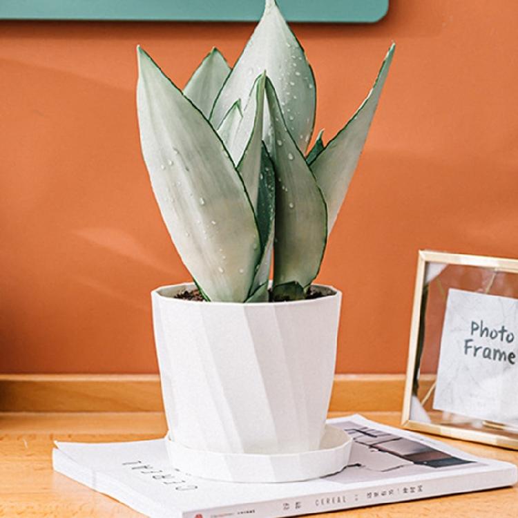 Elegant Rose Pot White Century Plant Planter Century Plant Pots Stylish Home Garden Indoor Desk Decors Props