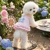 Lace Strap Pet Lace Dress Bow Knot Dog Puff Skirt Dog Princess Dress  Outdoors Activities