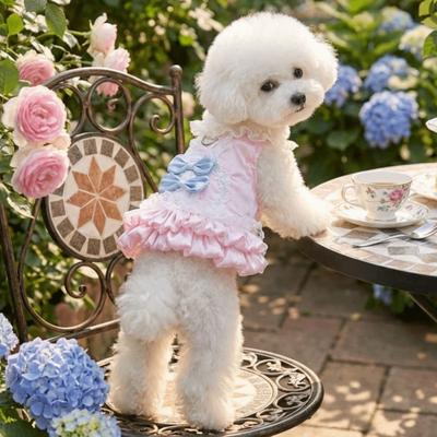 Fashion Lovely Korean Sweet Dog Princess Dress Bow Knot Romantic Pet Lace Dress Lace Strap Comfortable Dog Puff Skirt Party