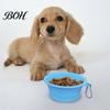 Dog Water Bowl Foldable Bowl, Collapsible Cat with Carabiner, Portable Pet Travel Accessories Silicone for Dogs Cats Camping Paw Shape