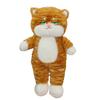 Cute Pattern Cat Plush Toys for Children's Birthday Gifts Sleeping Pillow Car Ornaments Cat