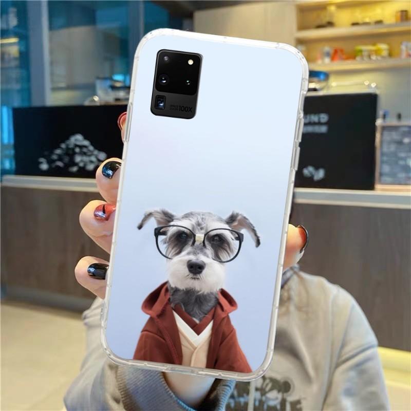Roztomilý pes knírač nosí brýle pouzdro na telefon pro Samsung Galaxy S10 S21 S22 Plus Ultra A91 A51 A21S A12 Průhledný kryt na telefon