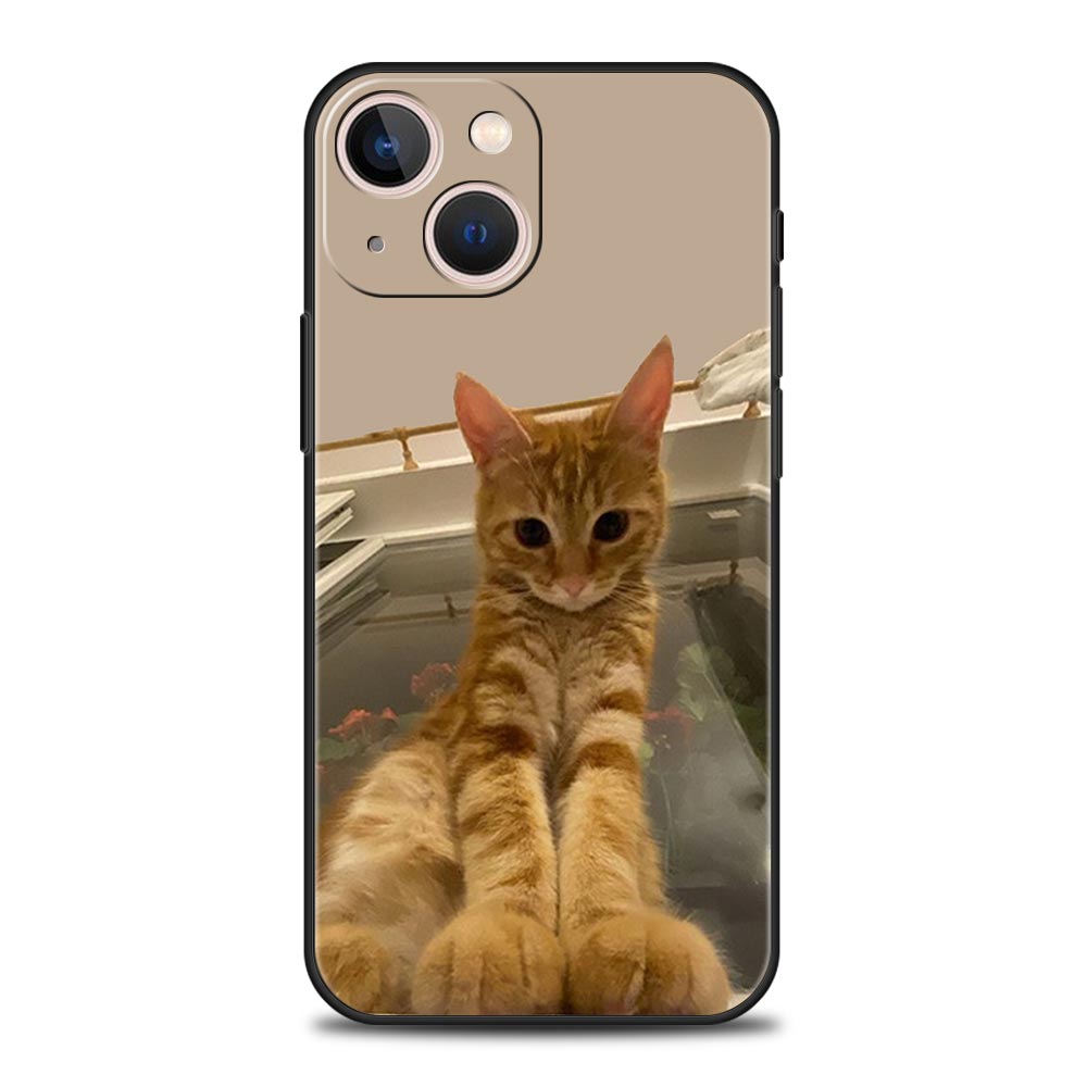 Funny Animal Cat Phone Case For iPhone 17 Air 16 Plus 13 15 14 12 11 Pro MAX 7 8 SE Soft TPU Shockproof Cover Funda