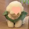 Pet Turtle Shell Vest for Small Dogs: Perfect for Yorkies, Corgis, Teddies, Bichons, French Bulldogs, and Pomeranians.