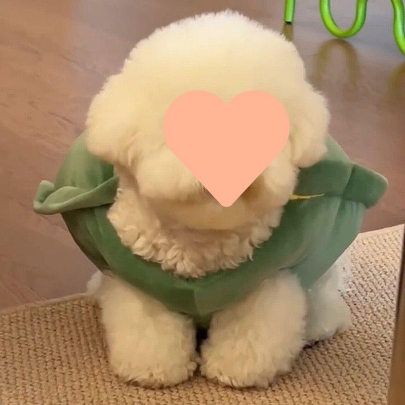 Pet Turtle Shell Vest for Small Dogs: Perfect for Yorkies, Corgis, Teddies, Bichons, French Bulldogs, and Pomeranians.