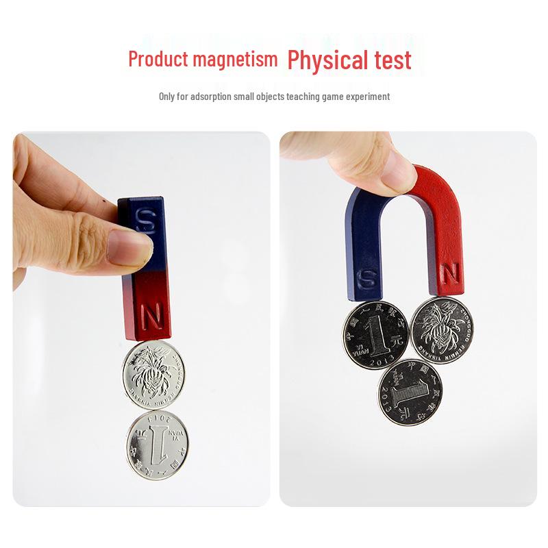 Science Experiment Magnet Set: Horseshoe, Bar, Ring, Levitation Magnetite, Compass, Magnetic Powder