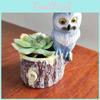 Charmig uggla Planterare Unik Dekorativ Harts Blomkruka För Hem Och Trädgård