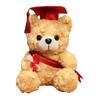 Personalized Graduation Gifts 2026 for Her, 7-Inch Teddy Bear, Soft Plush Graduation Mascot for College High School, Grade Graduation Gifts